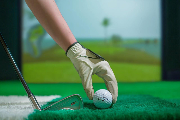 Thảm Swing cho phòng 3D
