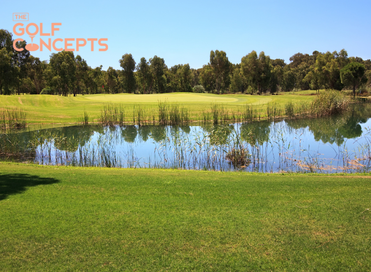 Hazard: Bẫy nước tăng tính chiến thuật cho hố golf