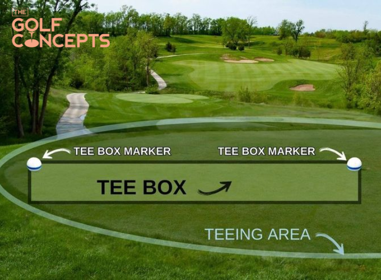 Tee Box là gì?